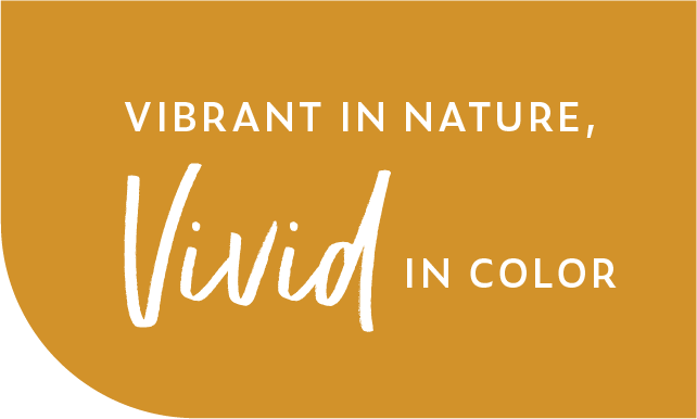 Vibrant in nature Vivid in color