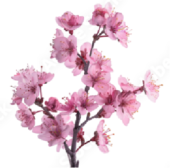 Vibrant Collage Photo