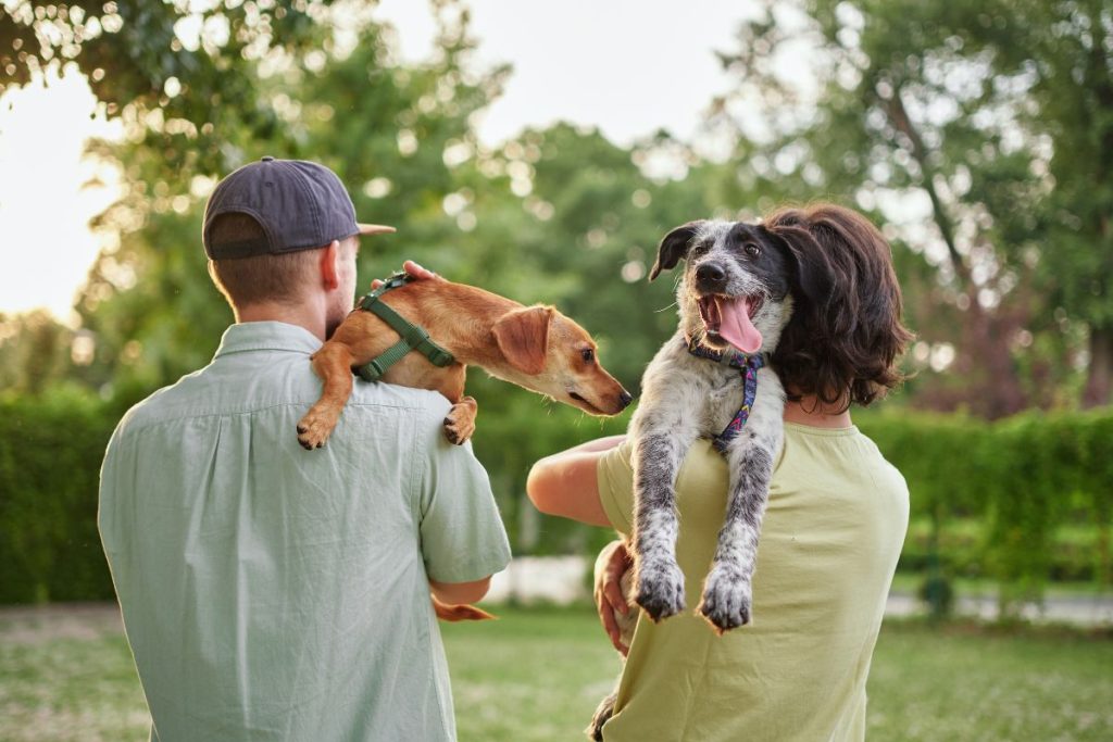 Couple carrying their dogs through a neighborhood park while enjoying outdoor community living and exploring how homeowners associations affect daily life for residents and pet owners